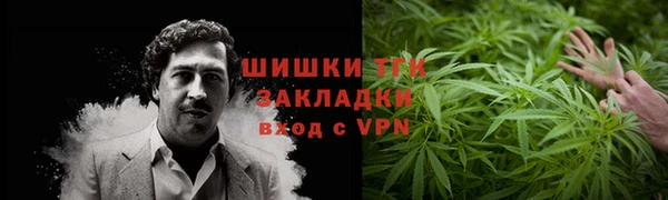 ECSTASY Богородицк