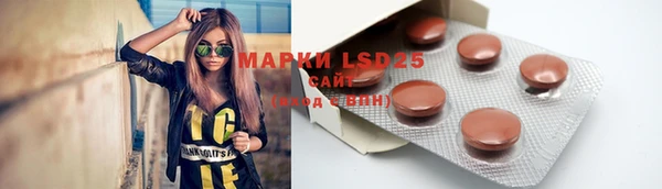 ECSTASY Богородицк