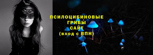 ECSTASY Богородицк