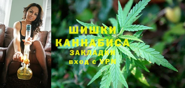дживик Богданович