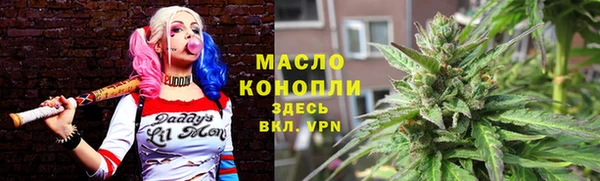 ECSTASY Богородицк
