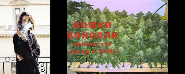 ECSTASY Богородицк