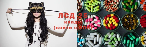 дживик Богданович
