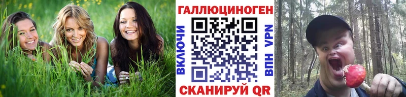 Псилоцибиновые грибы Psilocybe  как найти наркотики  Оренбург 